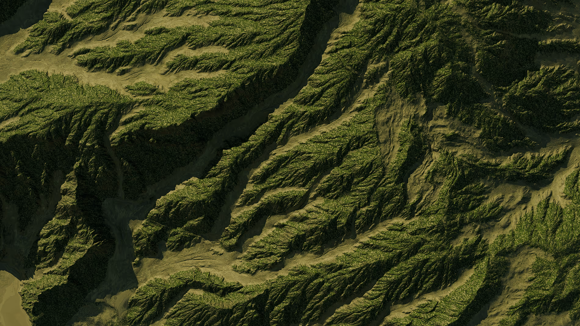 An aerial view of green mountains.